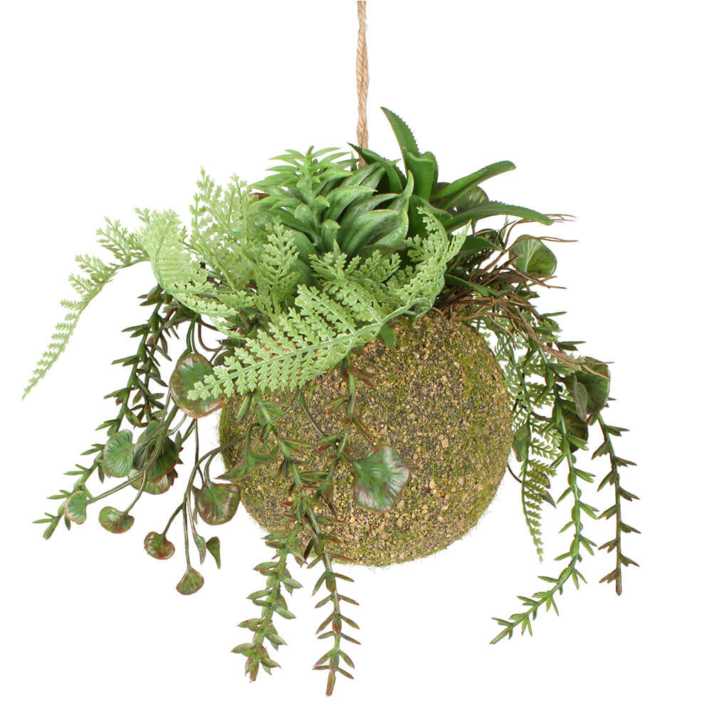 Moana kokedama mixte suspendu