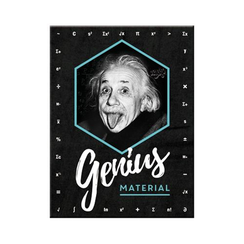 Nostalgic-Art Einstein Genius Magnet (6x8cm)