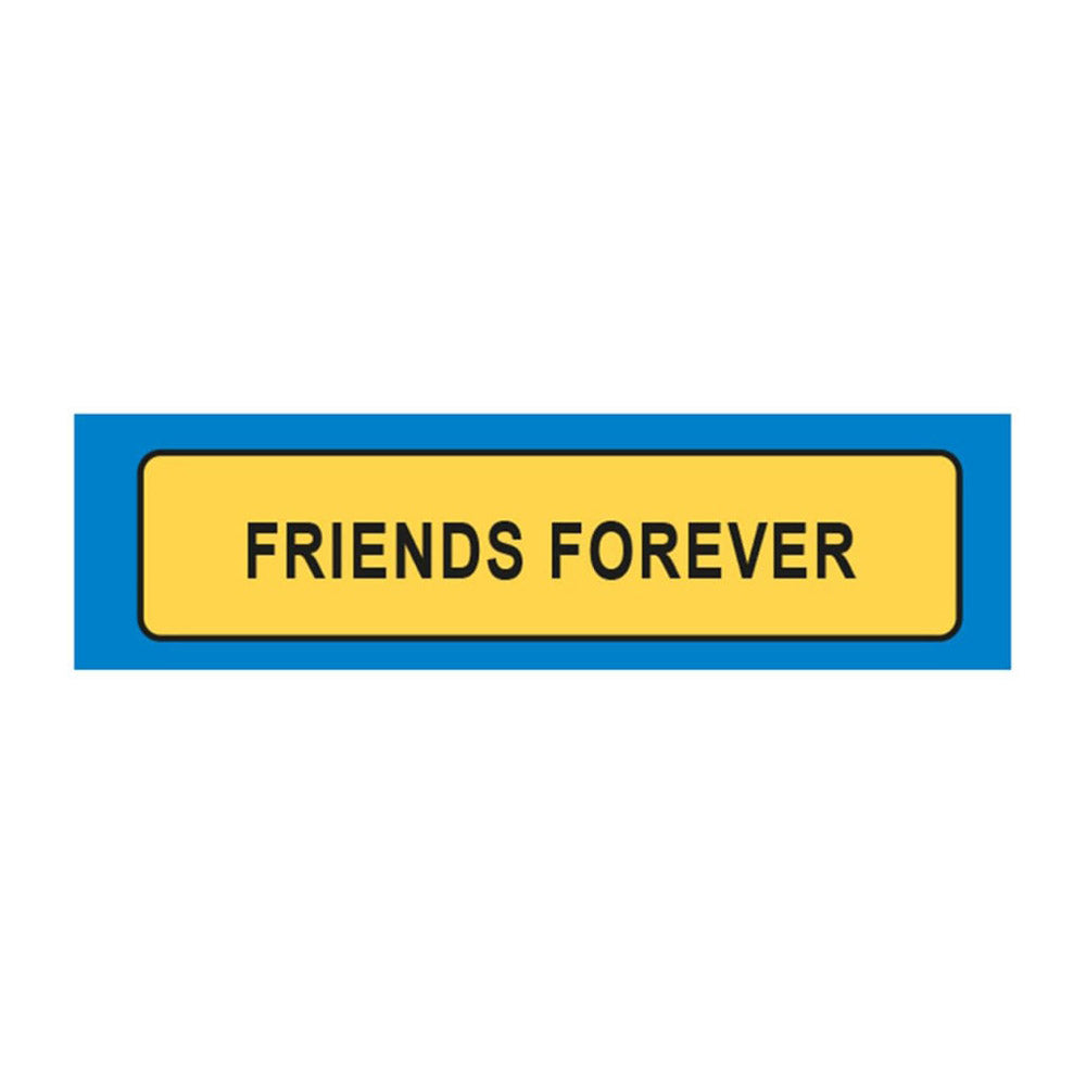 Friends Forever License Plate Keyring