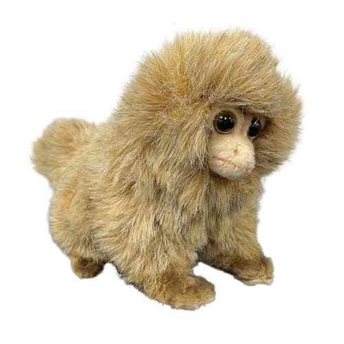 Pygmy Marmoset Plush Toy 21cm