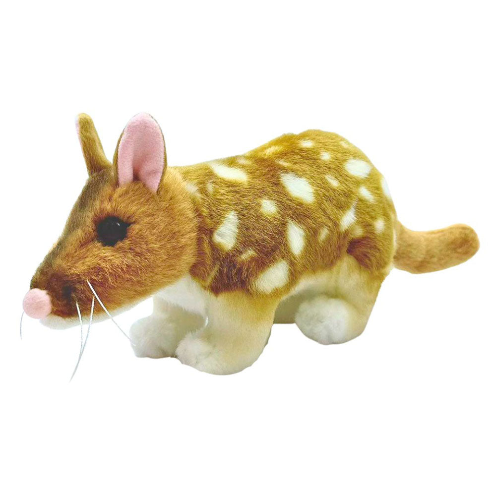 Queenie the Quoll Soft Animal Stuffed Toy 30cm