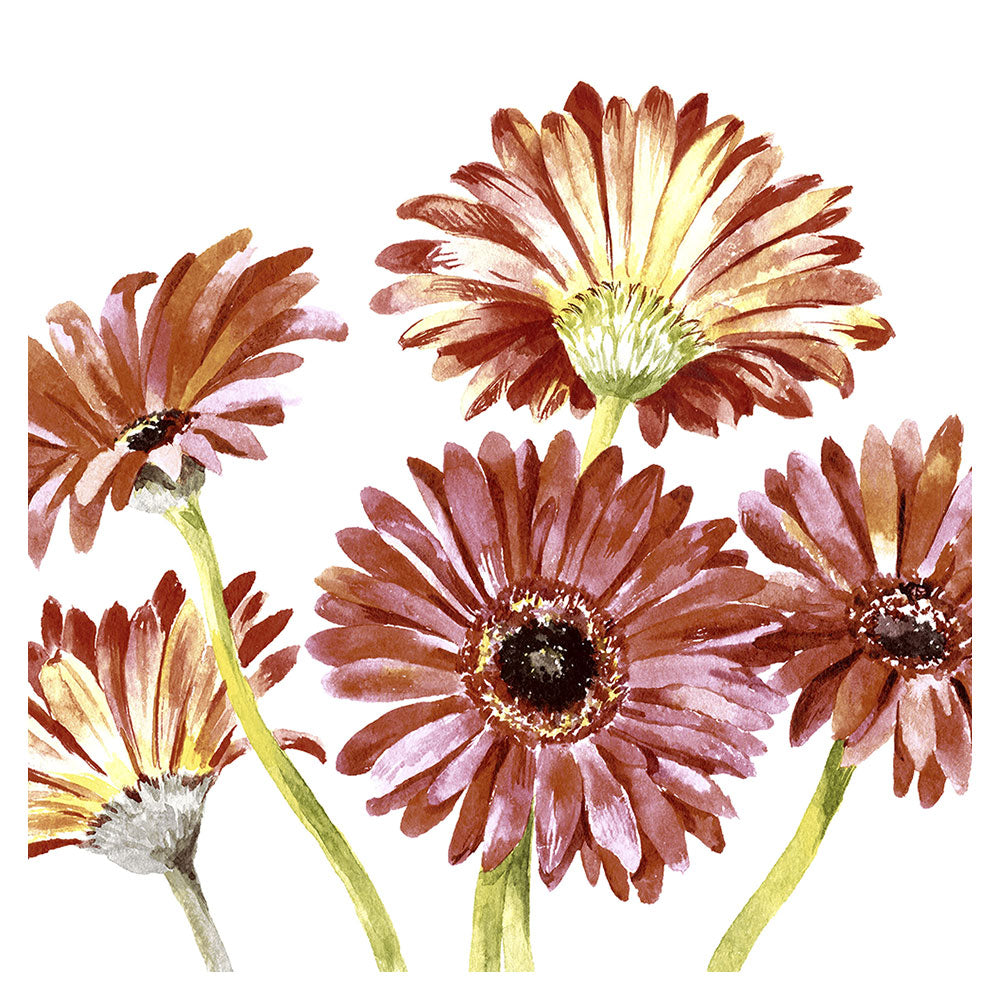 Paper+Design Gerbera Luncheon servetten