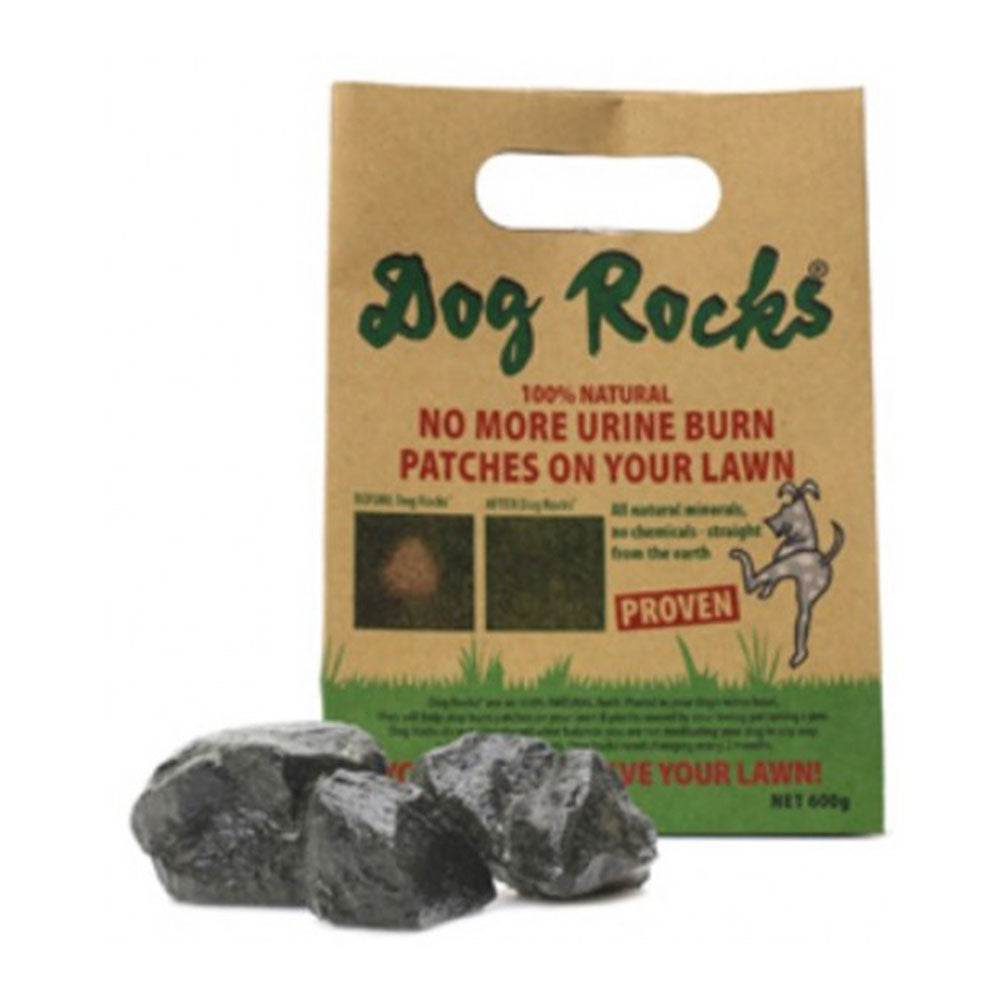 Filtro de rocas para perros