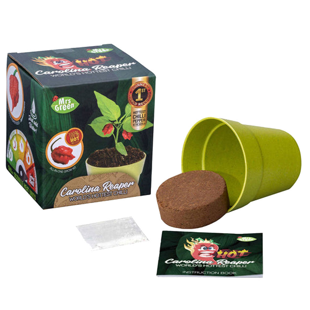 Mevrouw Green Whimsy Garden Plant Kit