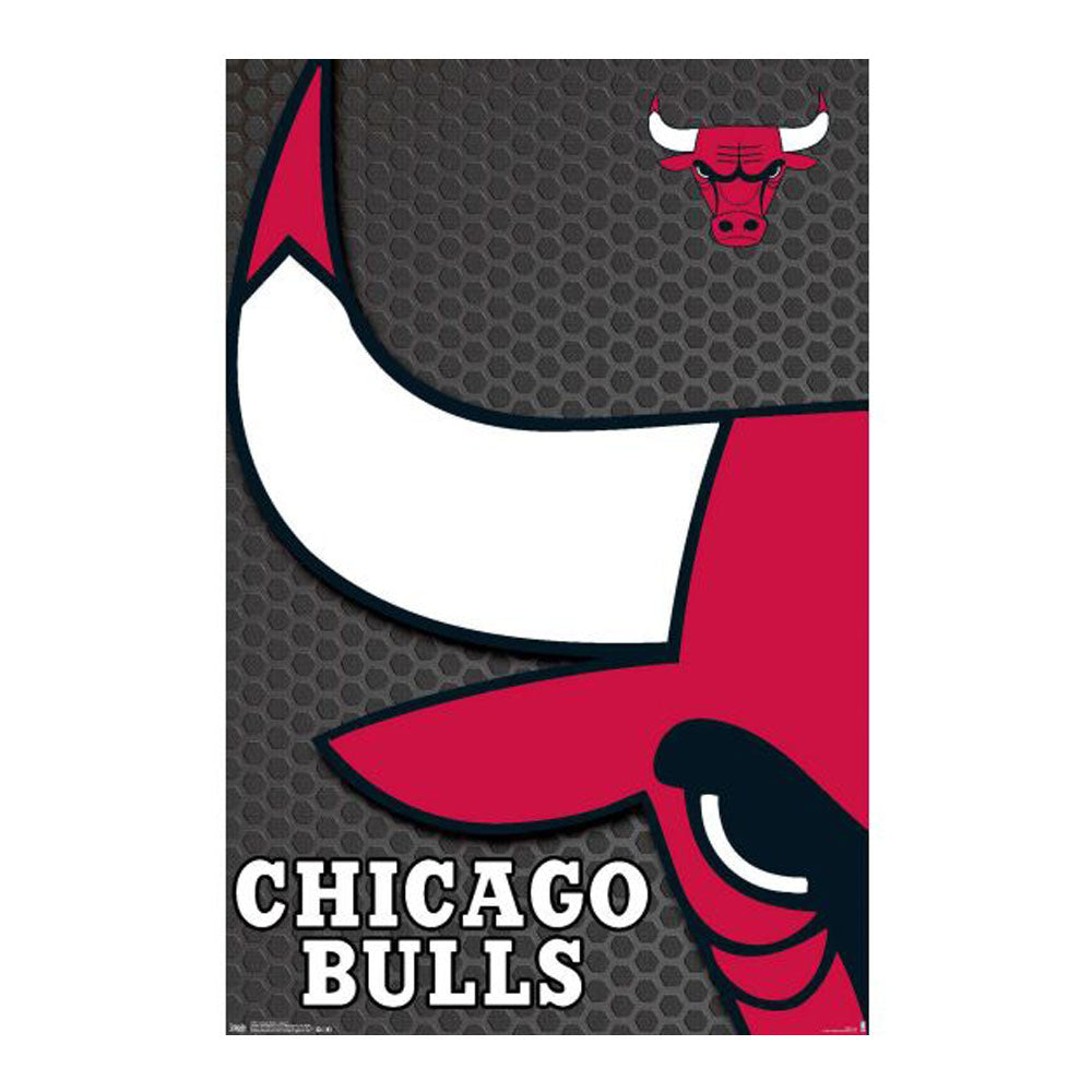 Poster der NBA Chicago Bulls