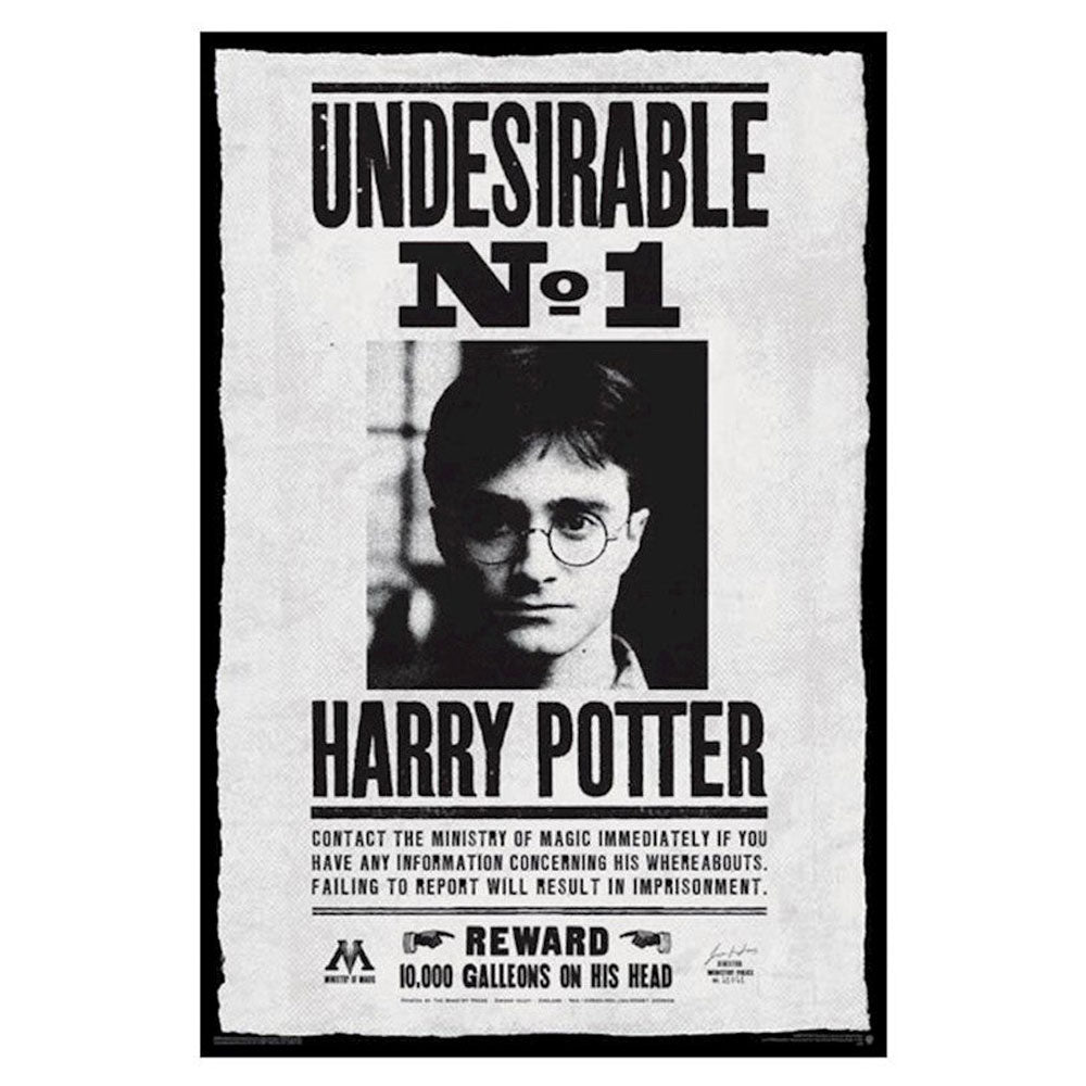 Harry Potter plakat