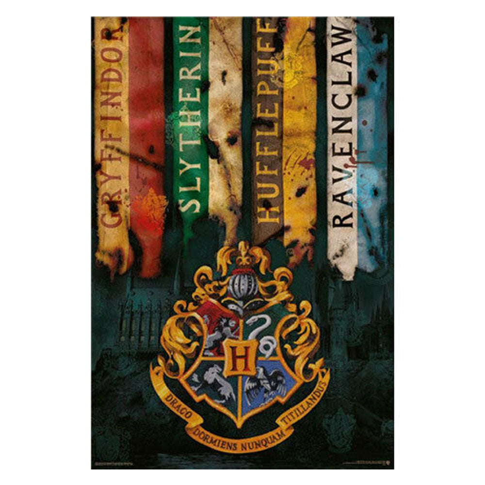 Harry Potter plakat