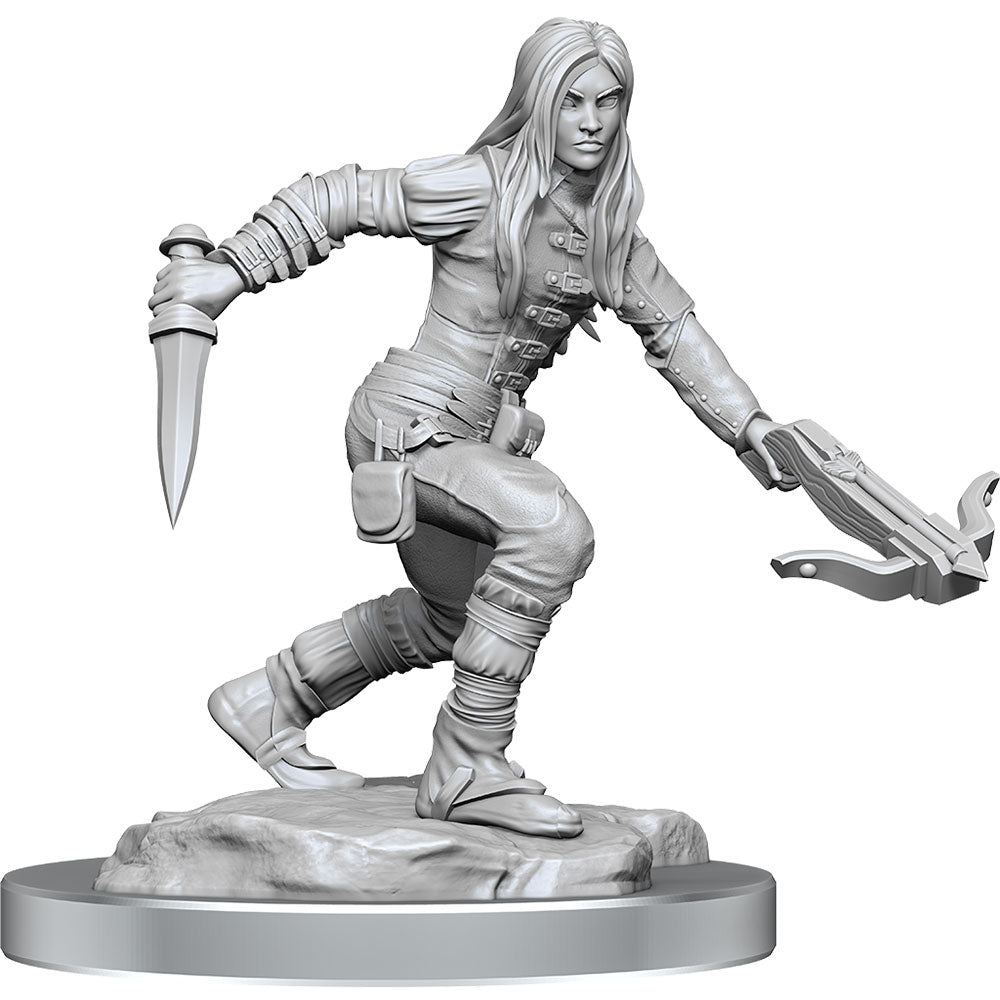 D & D Nolzurs Marvelous Elf Rogue Miniature