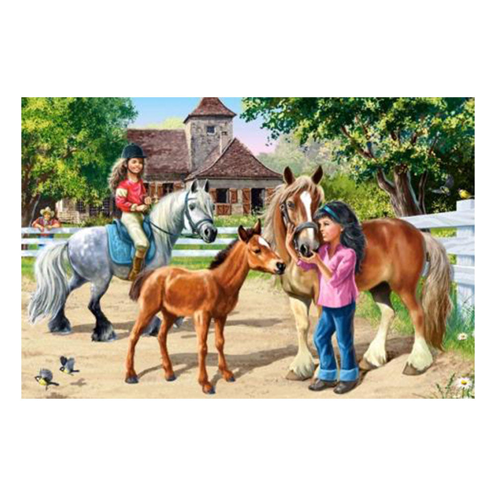 Castorland Classic puzzle puzzle 70pcs