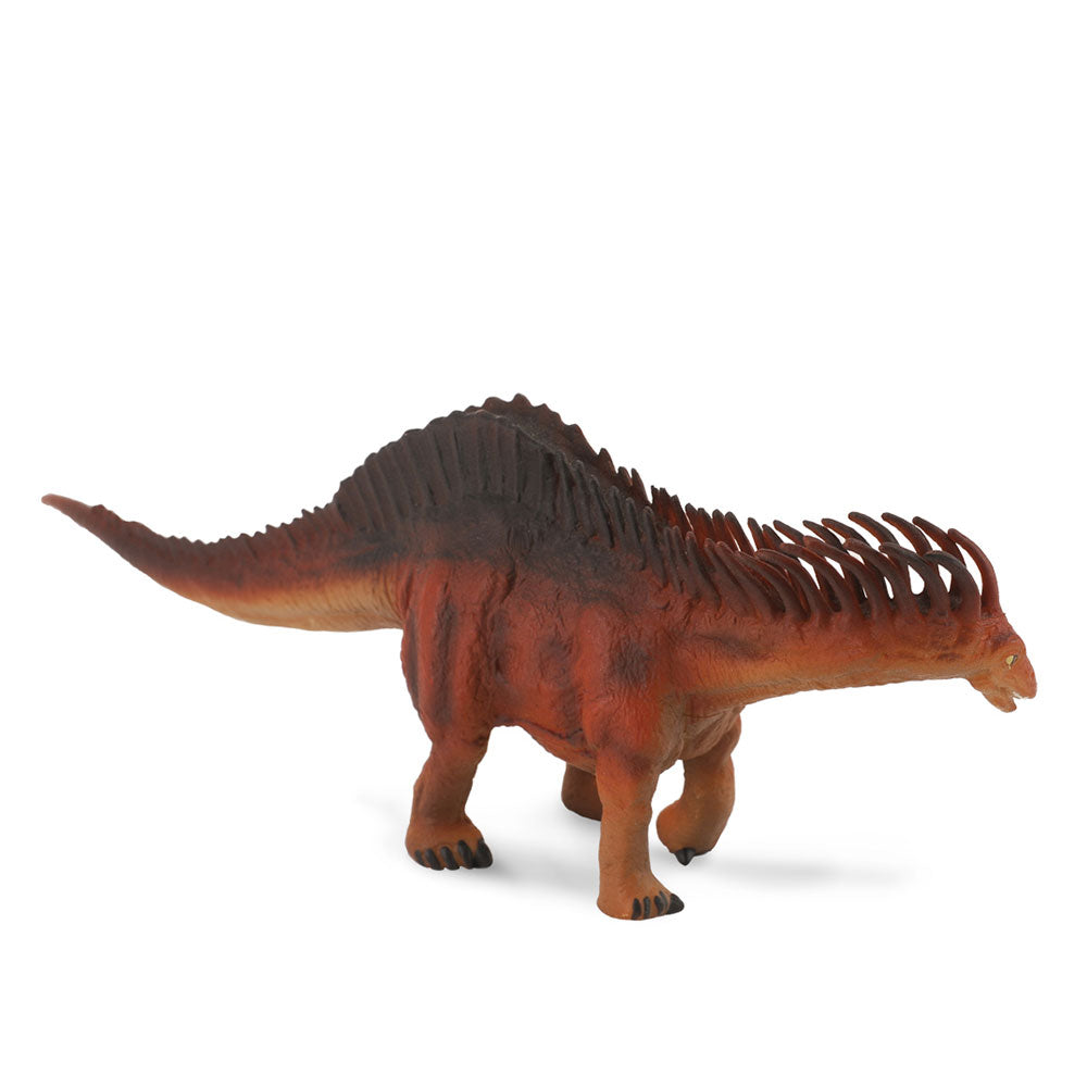 Collecta Amargasaurus恐竜の姿