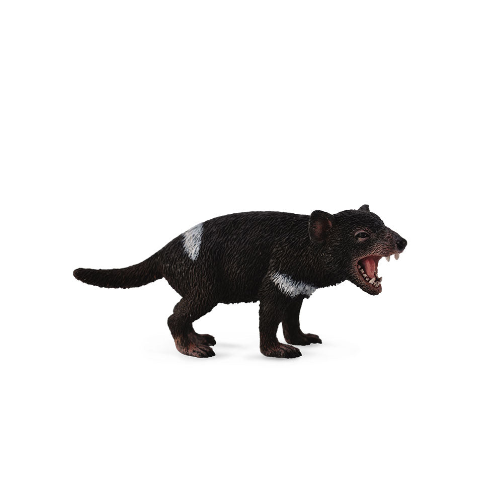 CollectA Tasmanian Devil Figure (Medium)