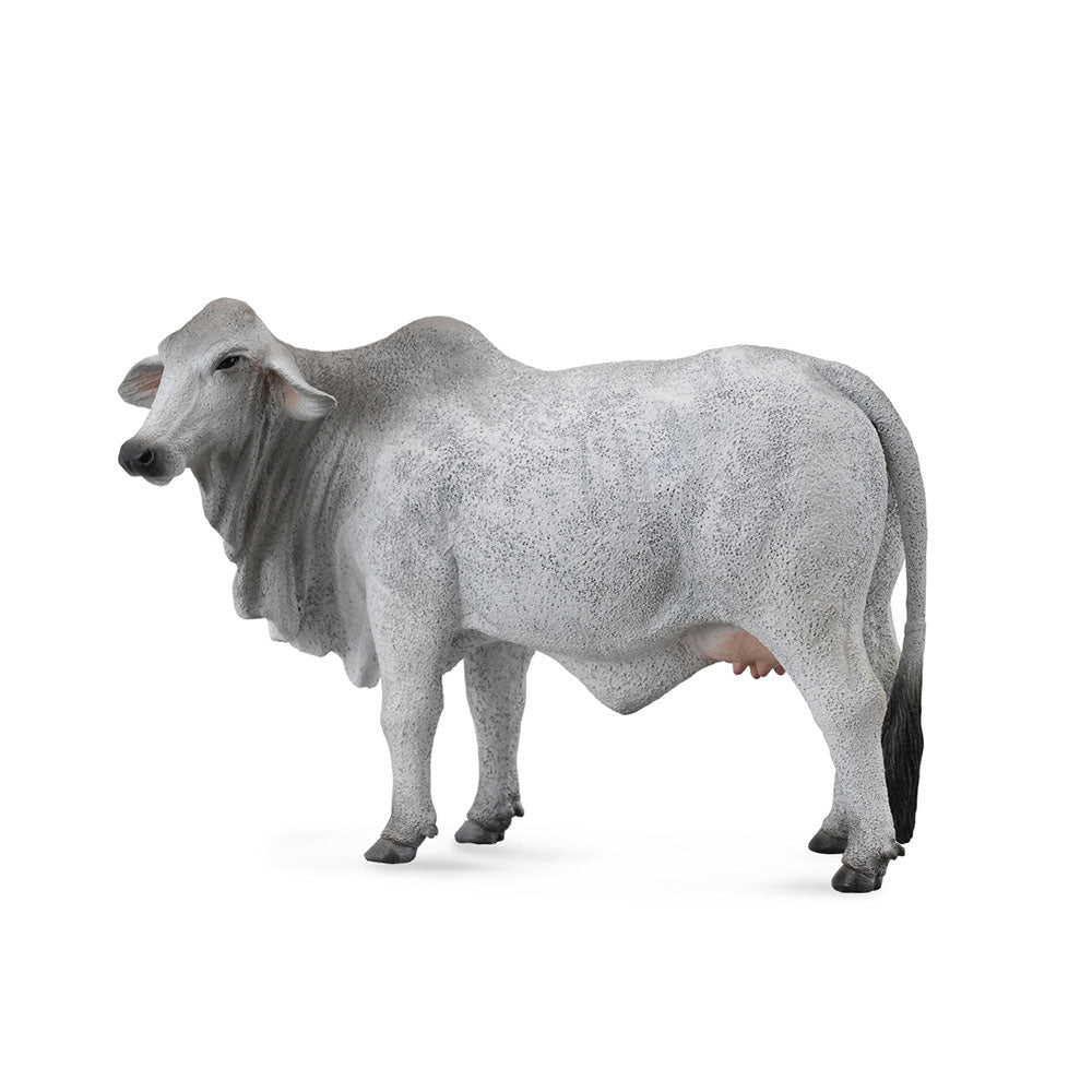 Figure de vache Brahman Collecta (grande)