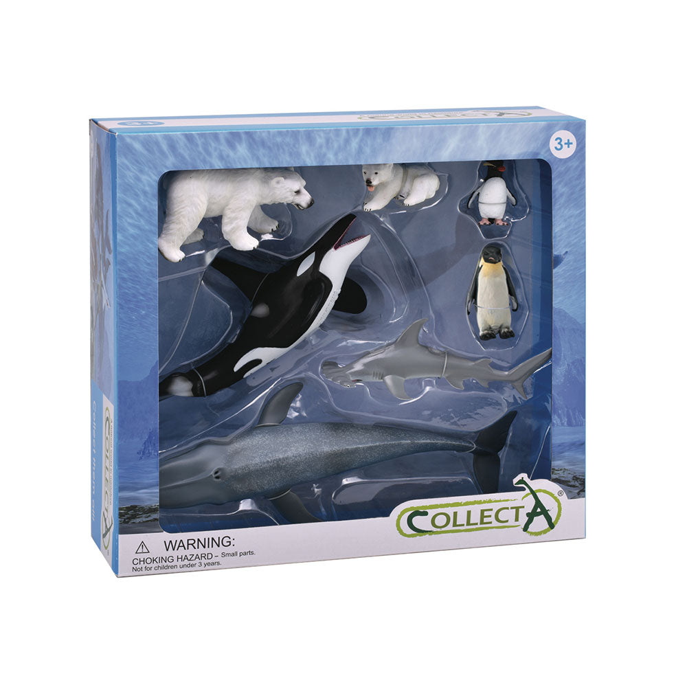  CollectA Sea Life Tierfiguren-Geschenkset