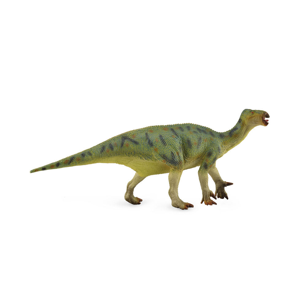 CollectA Iguanodon-Dinosaurierfigur