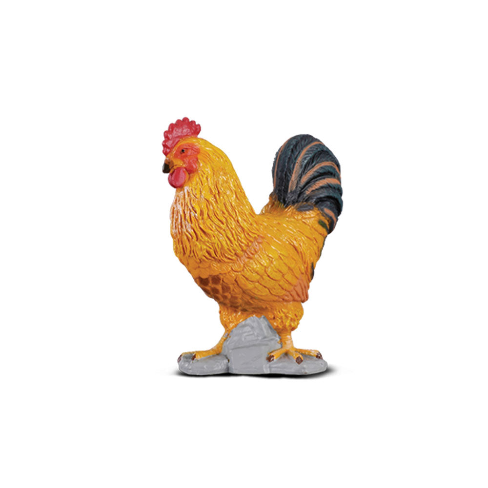 Collecta Cockerel Figur (lille)