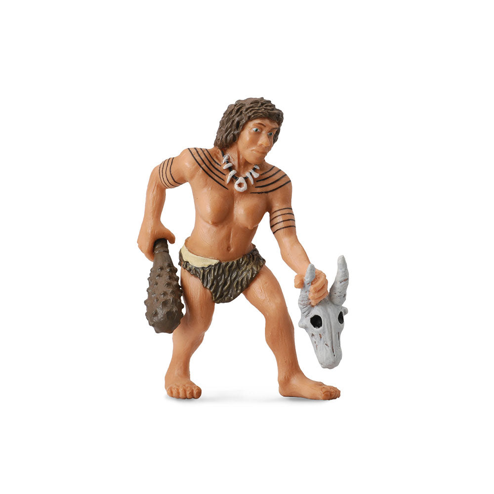 collecta neanderthalの姿（大）