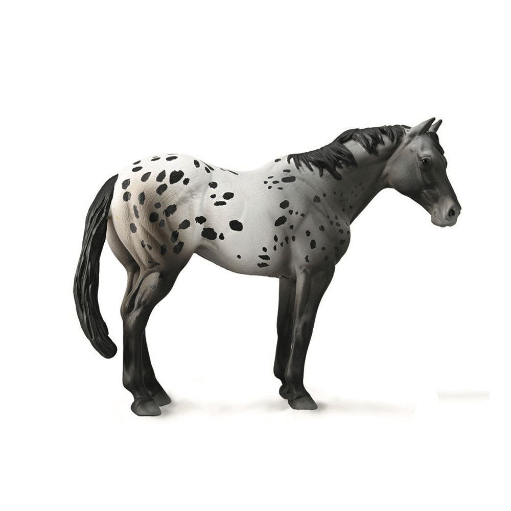 Figura da stallone di collezione Appaloosa (XL)