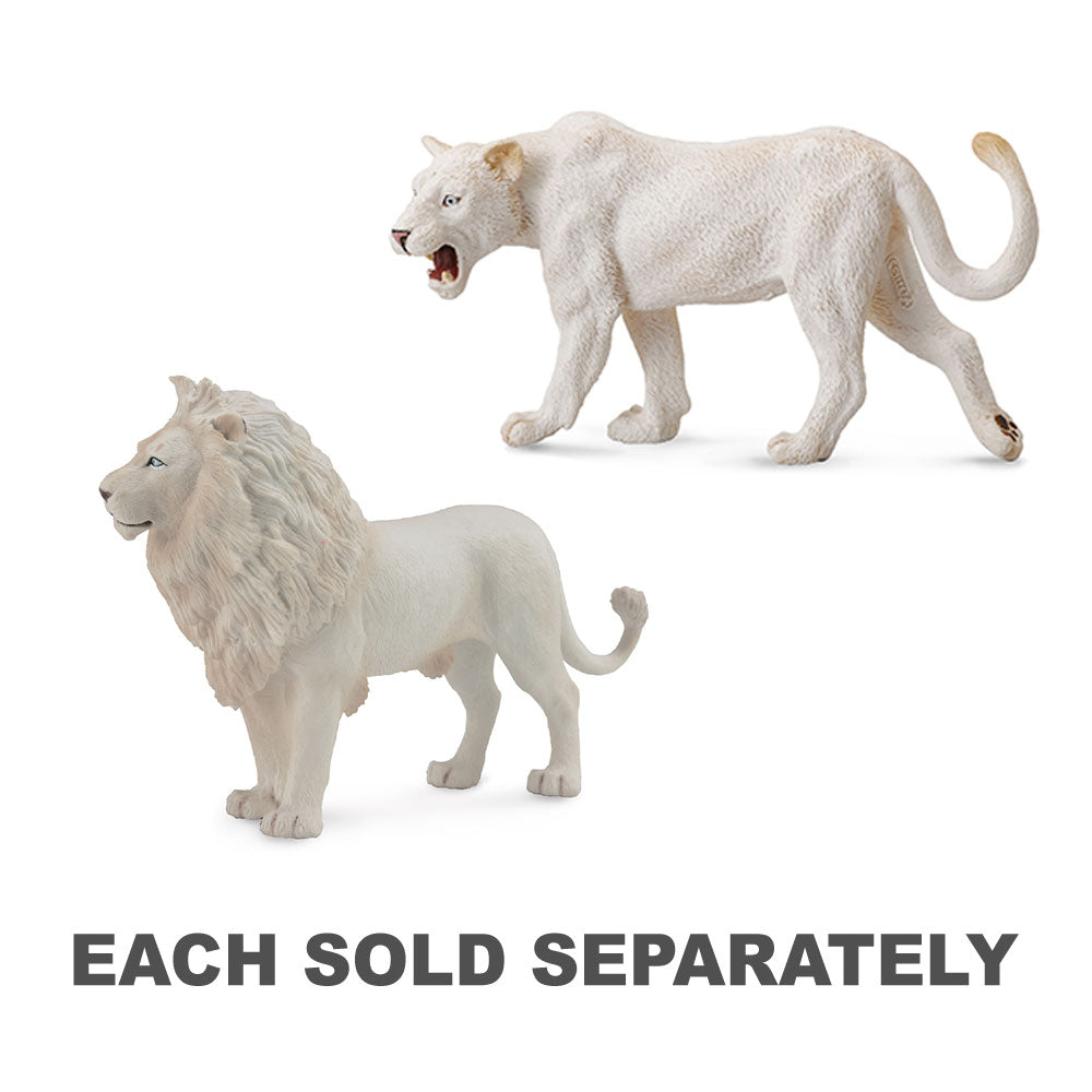 CollectA White Lion Figure (Large)