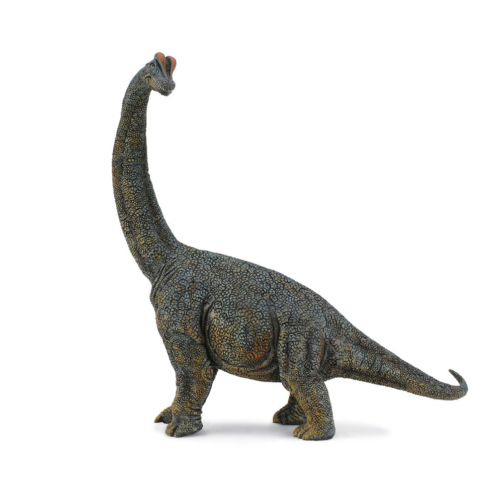 Collecta Brachiosaurus恐竜の姿