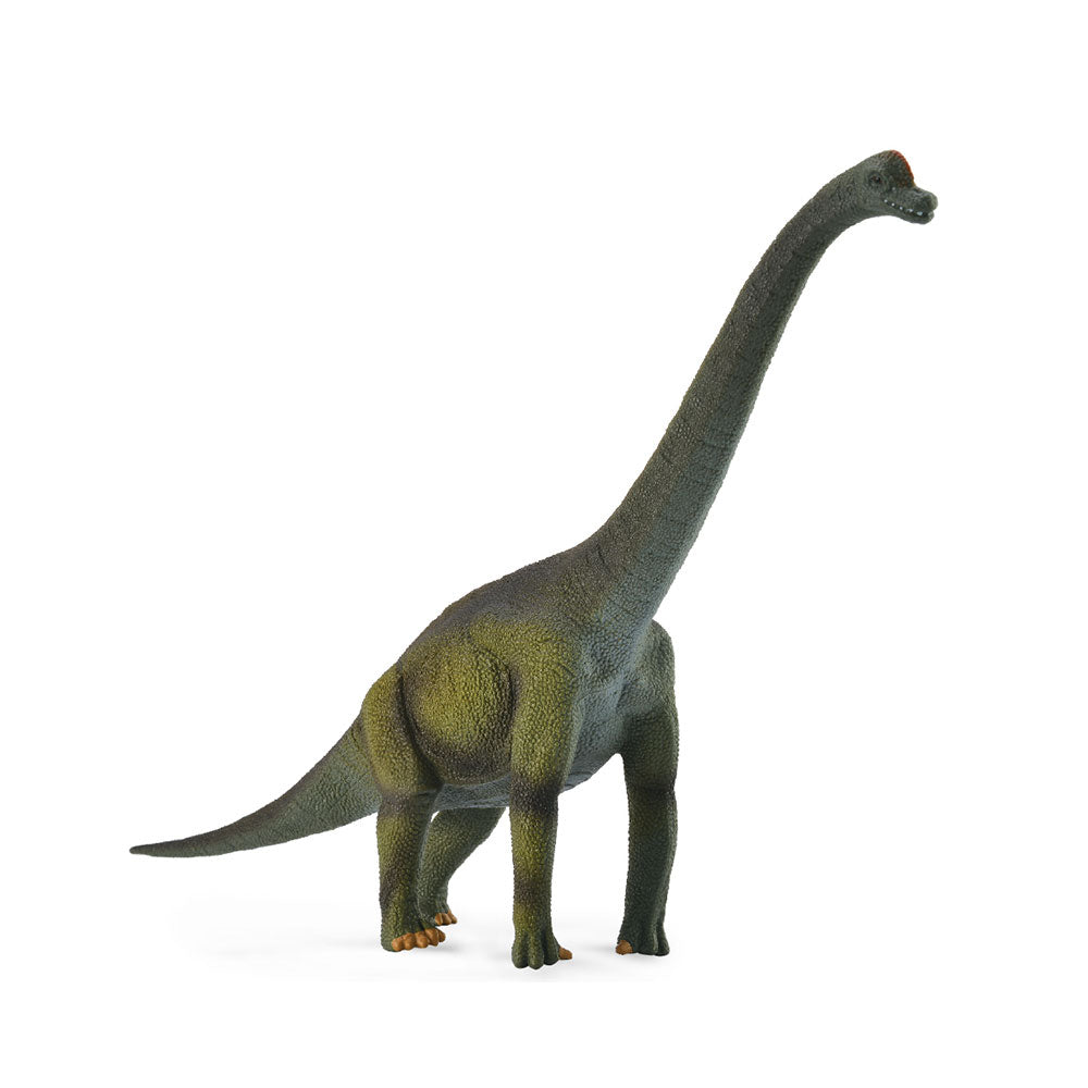 Collecta brachiosaurus dinosaurfigur