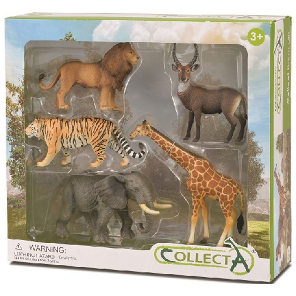 Collecta Wild Life 5-delt gavesett