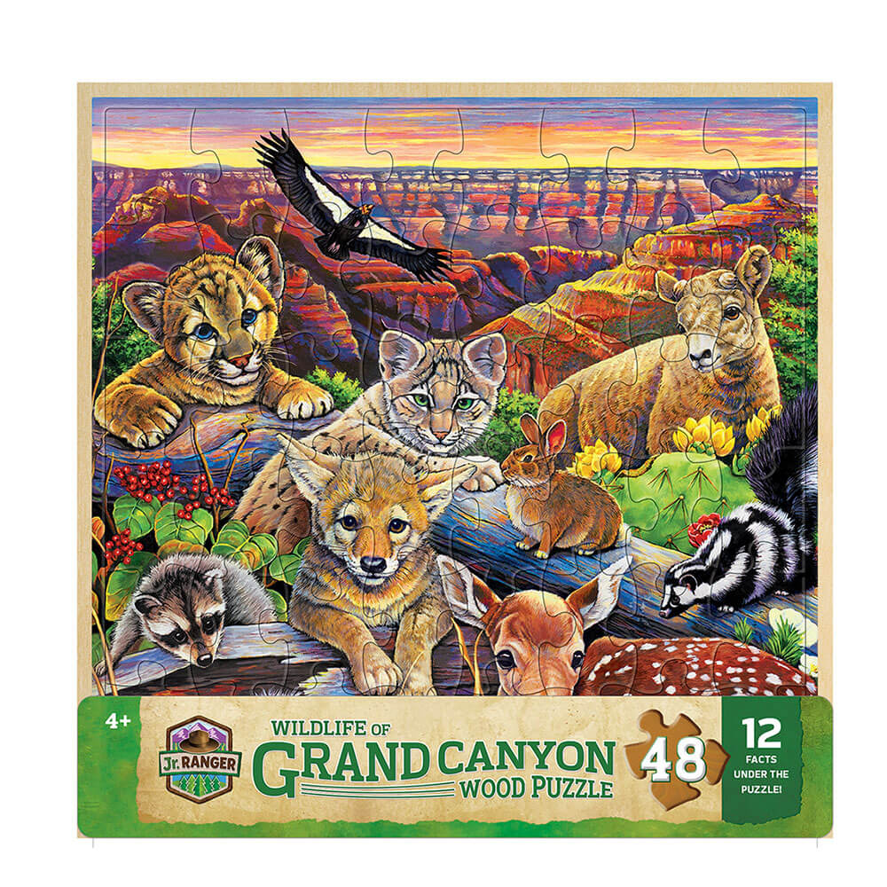 MP Wood Fun Facts Puzzle (48 PC)