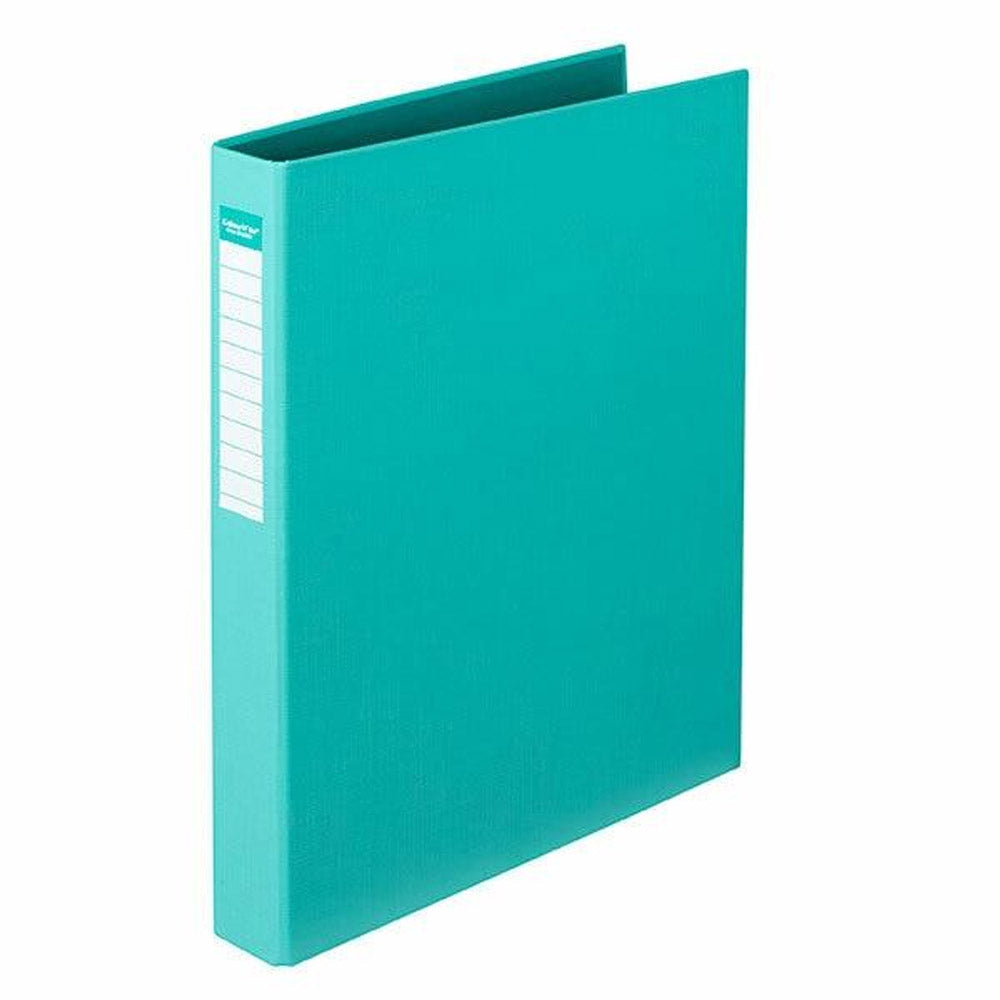 Colourhide 2D A4 PP Binder 25mm