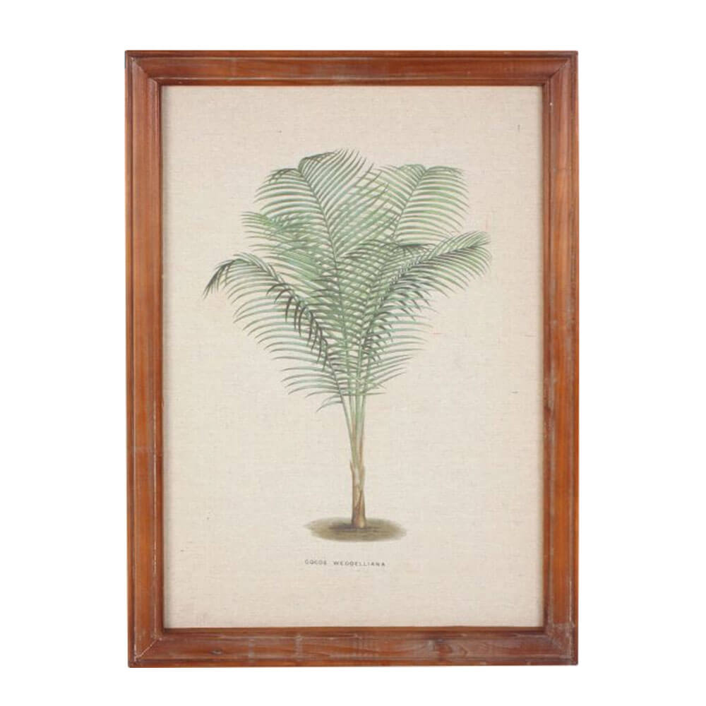 Framed Vintage Palm Wall Art (38x52x1.8cm)