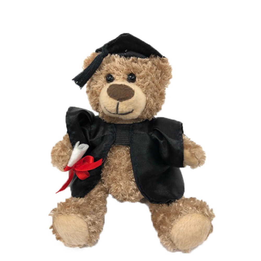 Orso di laurea peluche