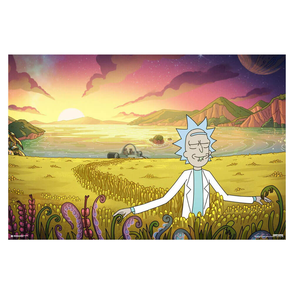 Impact Rick e Morty Poster (61x91.5cm)