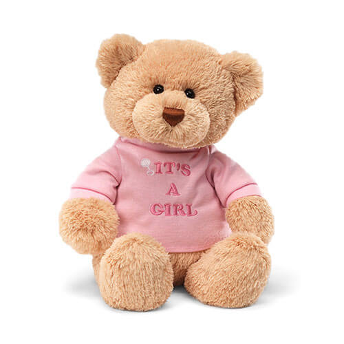 Gund Message Bear