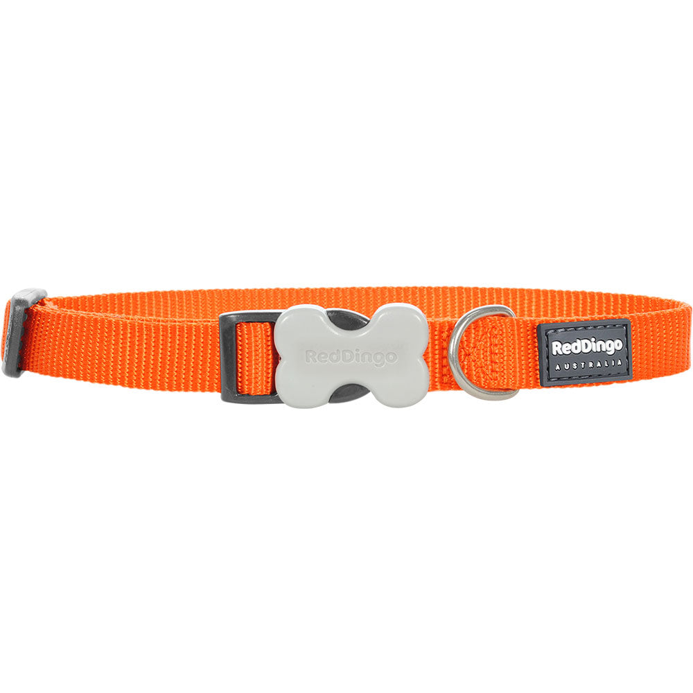 Collier de chien classique (orange)