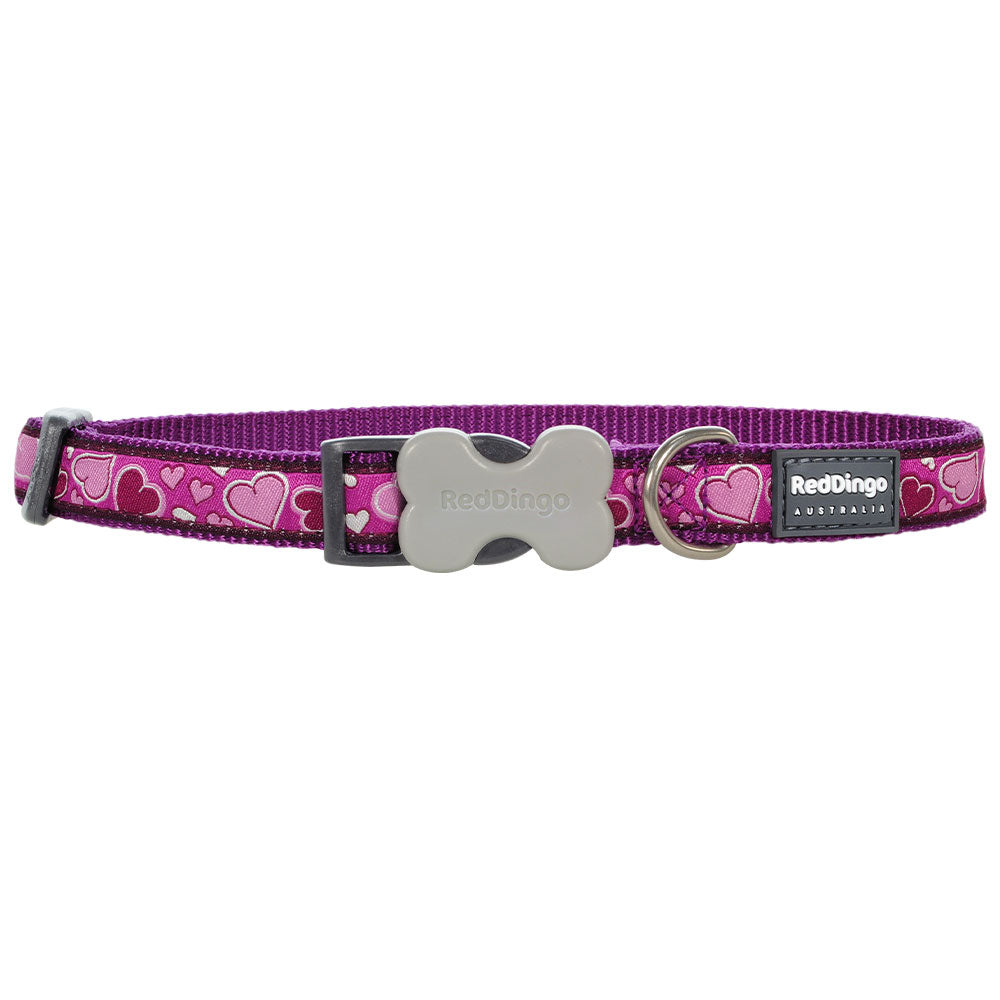 Collier de chien d'amour venteux (violet)