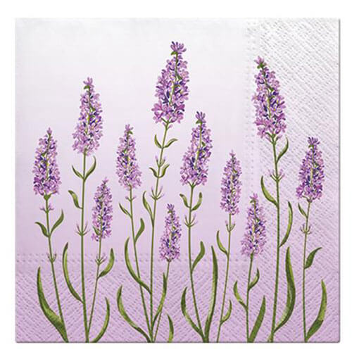 Paw Lavender Lunch Napkin 33cm (20pk)