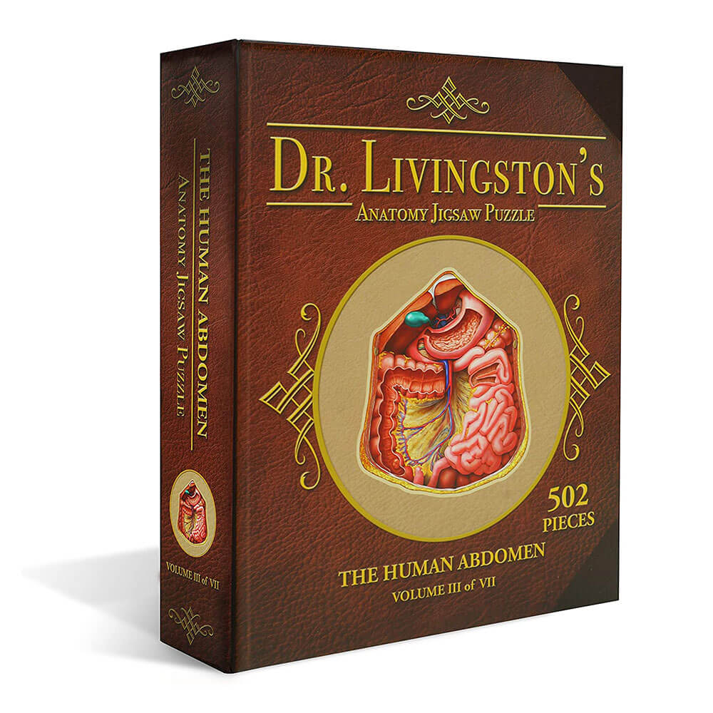 Dr. Livingston's Anatomy Jigsaw Puzzle the Human Abdomen