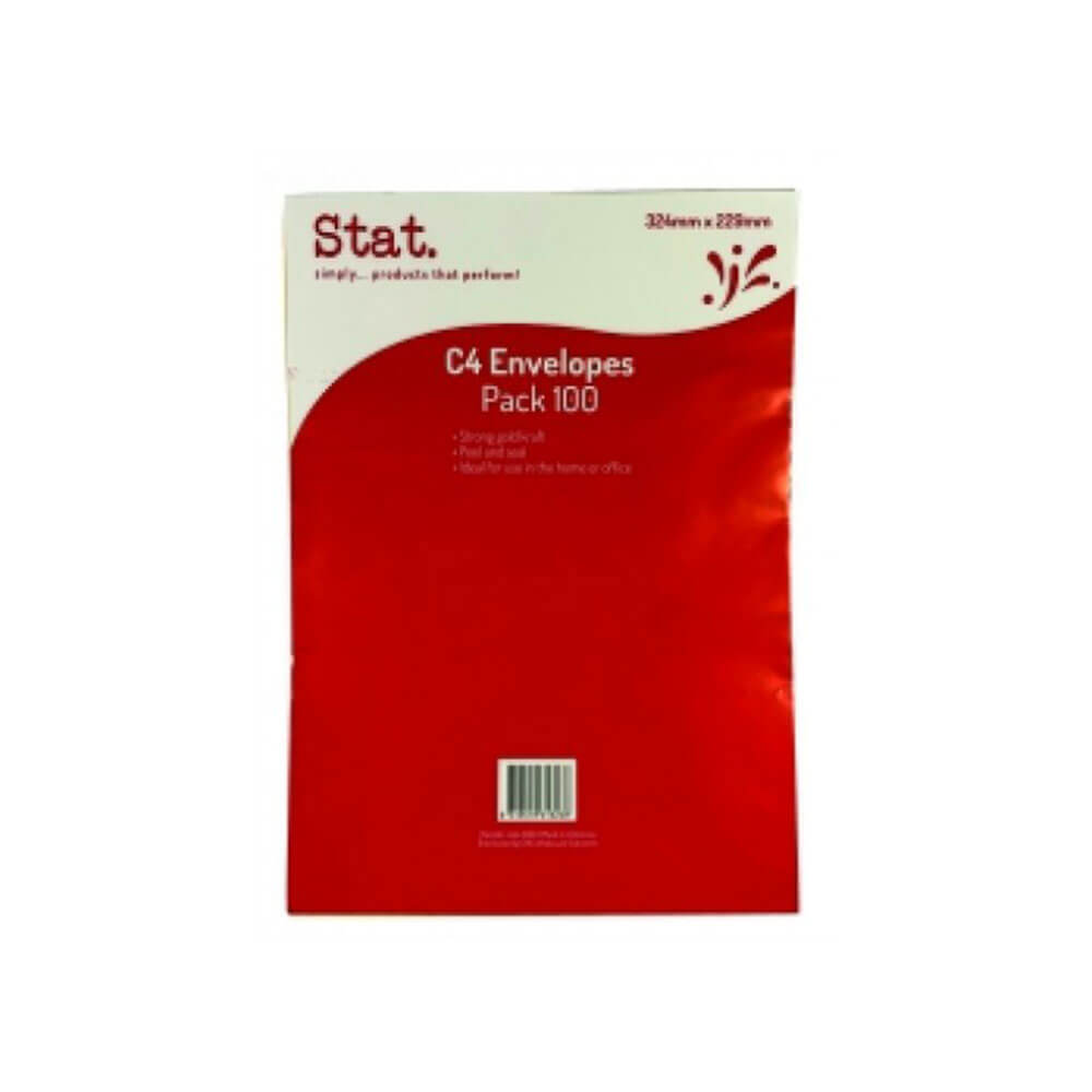 Stat Kraft Peel & Seal Envelope (100 pk)